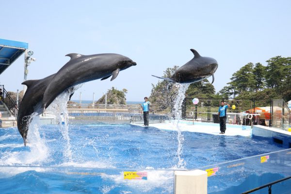 セミナーをする上で気を付けたいこと